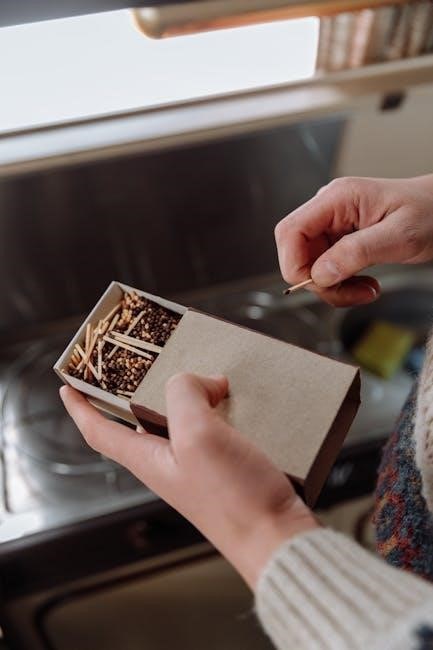 household manual template